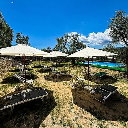 Valle Degli Ulivi B&B Вьесте Экстерьер фото